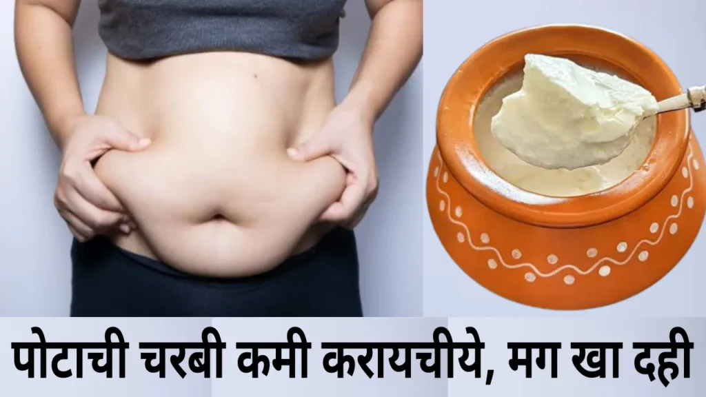 Weight Loss Using Curd